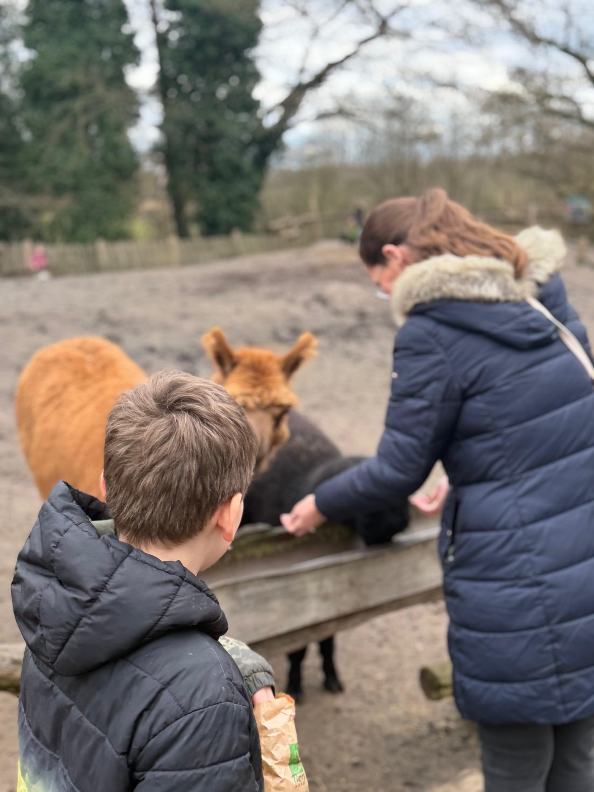 hermeshof-suedstrasse-4